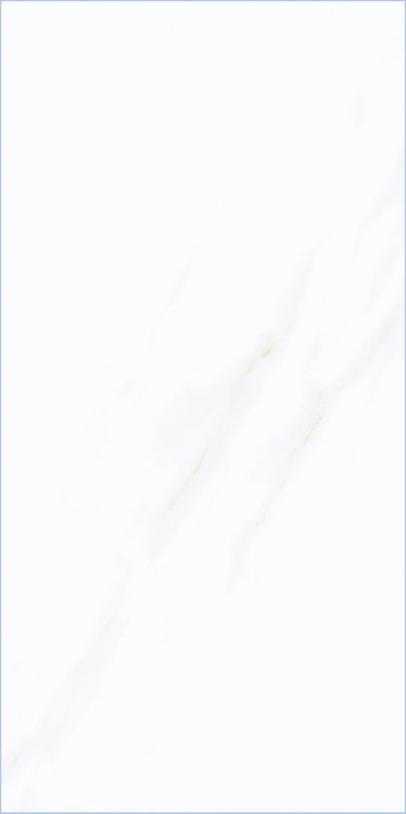 Time Cielo Matte 12 x 24